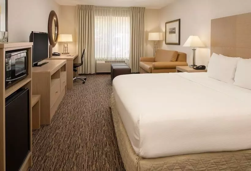 身障者適用キングサイズベッドルーム, Doubletree By Hilton Portland Tigard