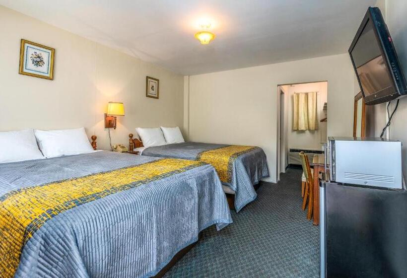 Номер Стандарт 2 Двуспальные Кровати, Parkway Inn