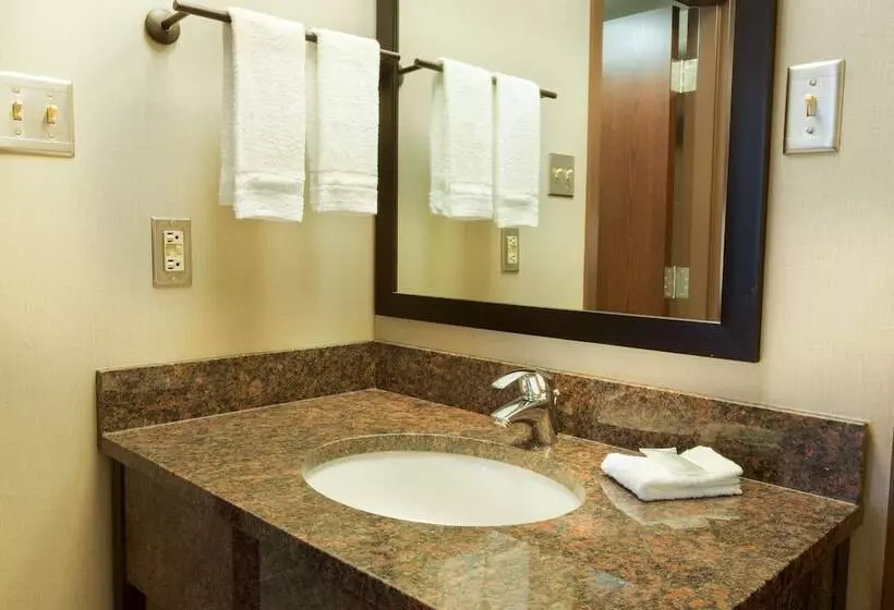 اتاق لوکس, Pear Tree Inn San Antonio Airport