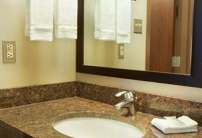 اتاق لوکس, Pear Tree Inn San Antonio Airport