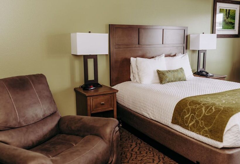 Номер Стандарт, Pacific Inn Motel