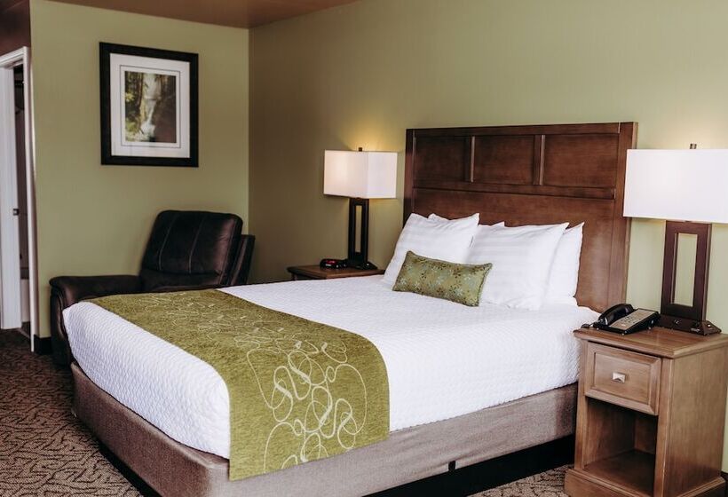 غرفة قياسية, Pacific Inn Motel