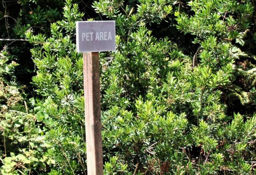 غرفة ديلوكس, The Polynesian Resort