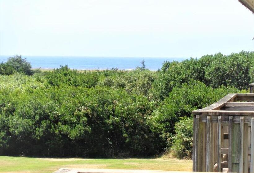 جناح مطلّ علي البحر, The Polynesian Resort