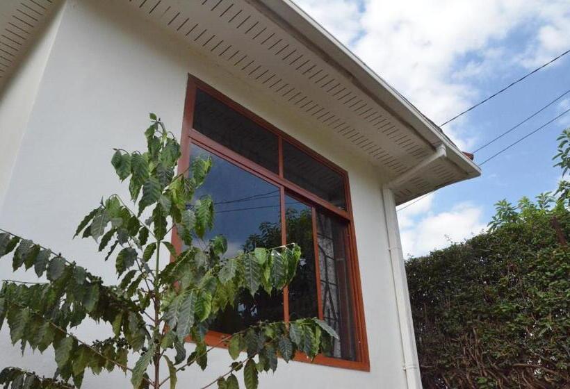 스탠다드 룸 가든 전망, Barazani Garden Villa