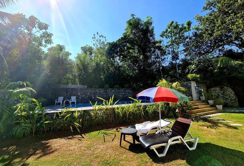 Номер Стандарт, Serendipity