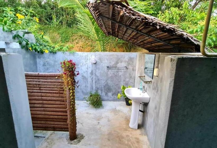 Номер Стандарт, Serendipity