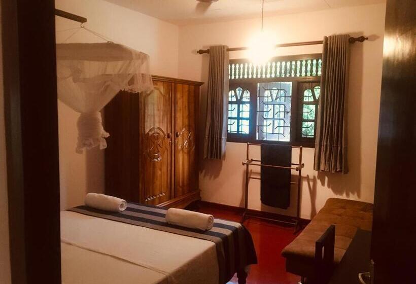 Номер Стандарт, Serendipity