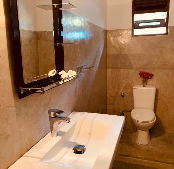 Номер Стандарт, Serendipity