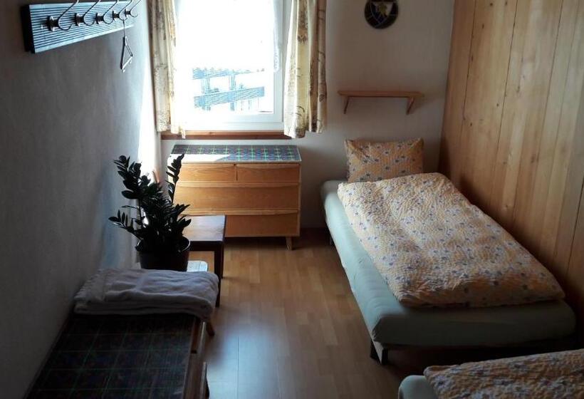 اتاق استاندارد با سرویس بهداشتی مشترک, Alte Sektion Und Alpenblick