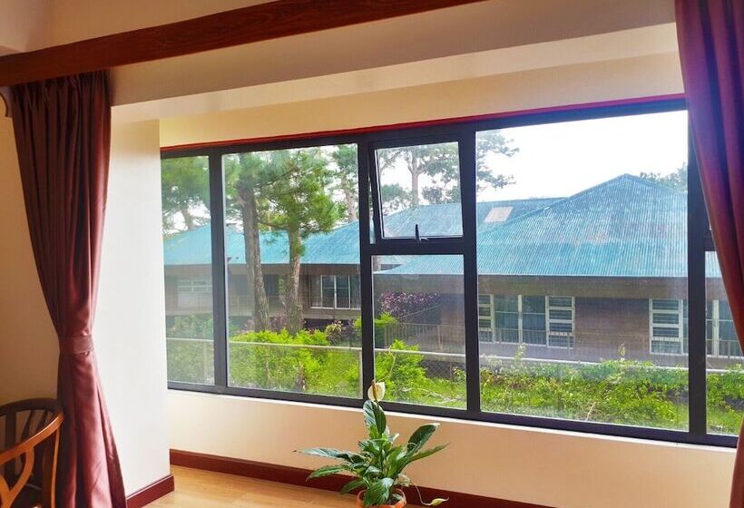 اتاق راحتی سه تخته, 456