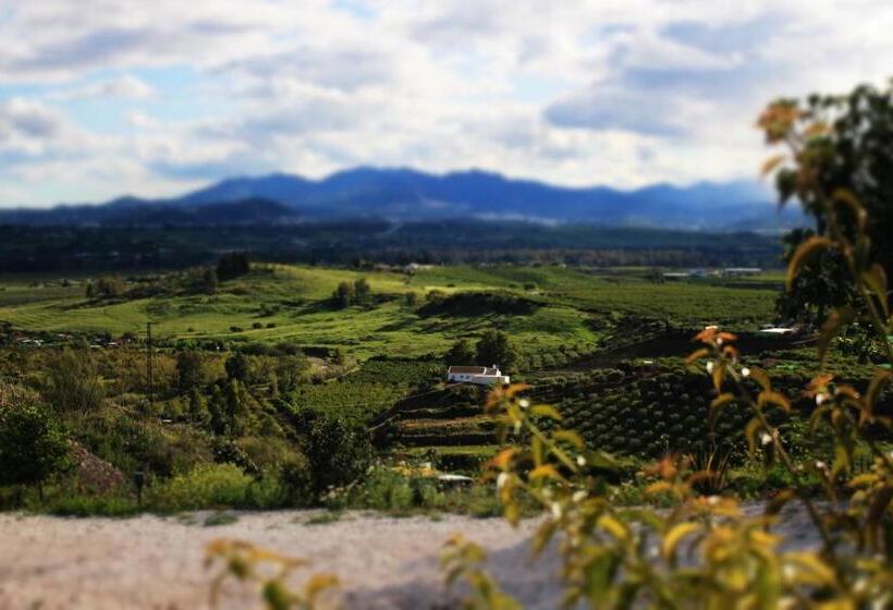 إستوديو قياسى ذو إطلالة, Casa De La Vida Málaga