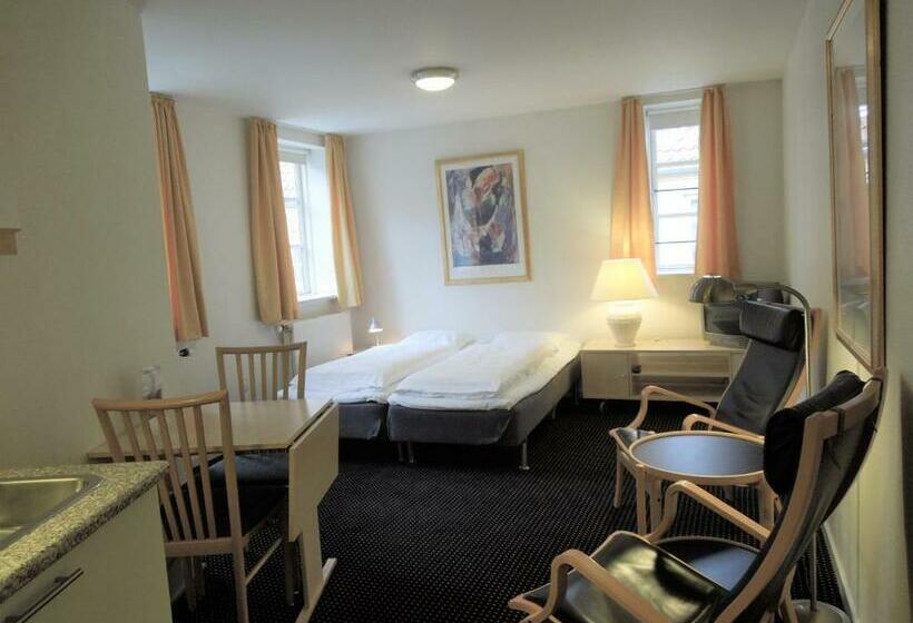 Студия Стандарт, Aarhus City Apartments