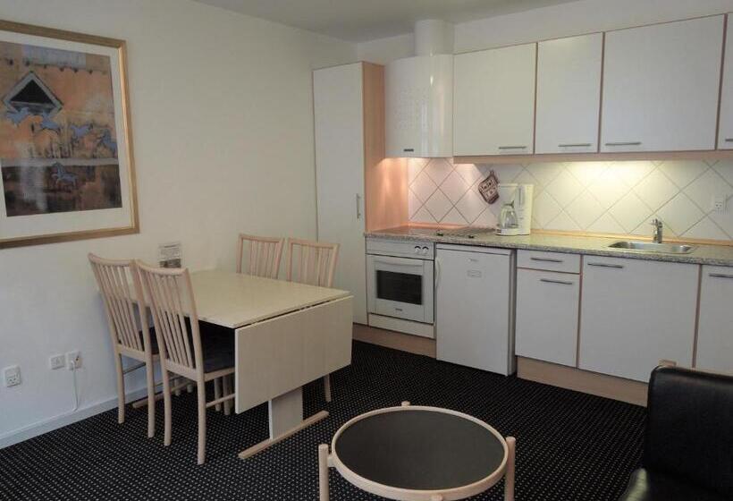 Апартаменты 1 Спальня, Aarhus City Apartments