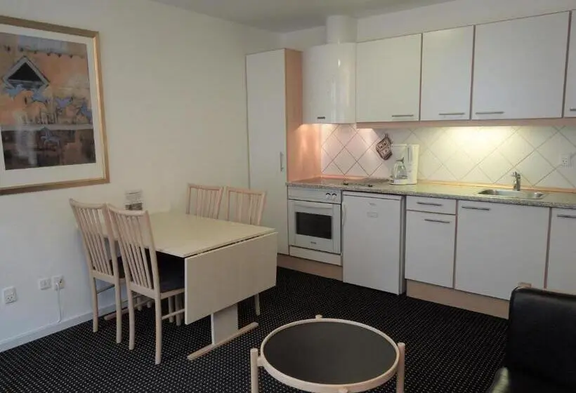 آپارتمان 1 خوابه, Aarhus City Apartments