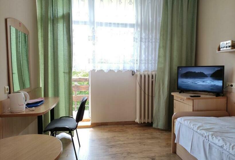 Standard Yhden Hengen Huone, Sp Zoz Sanatorium Uzdrowiskowe Mswia Agat