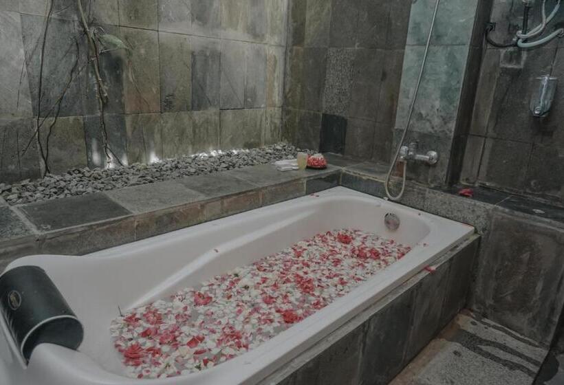 اتاق لوکس, Cempaka Borobudur Guest House