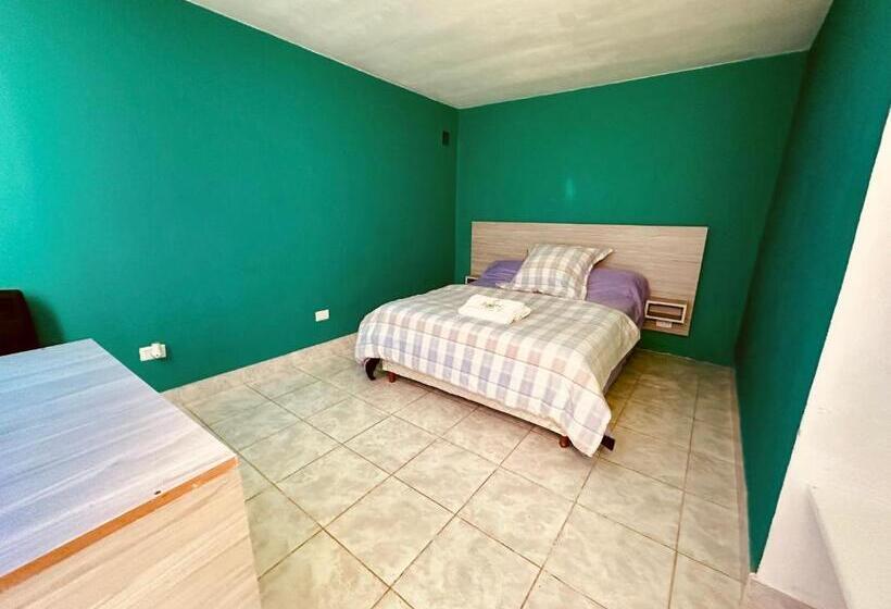 スタンダードルーム, Amancay, Hostal Patagonico