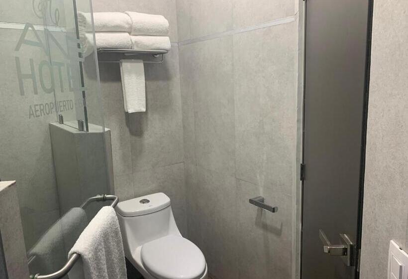 디럭스 룸, Anb Aeropuerto Guadalajara