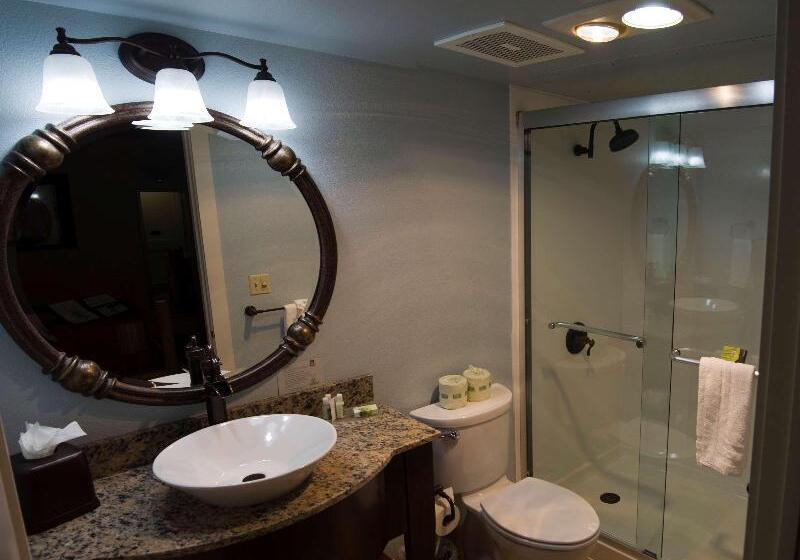 Люкс Кровать Кинг, Best Western Plus Plaza