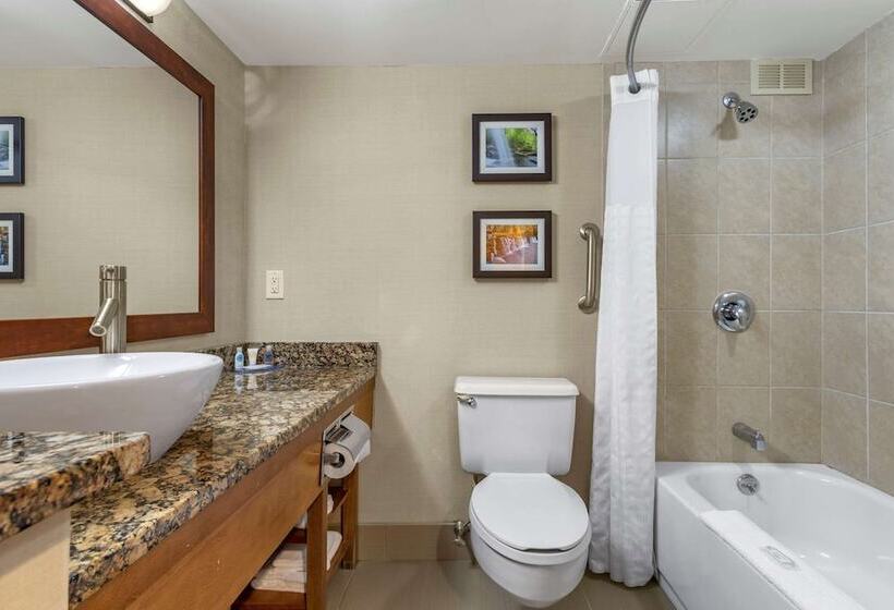 Люкс, Comfort Inn & Suites Glen Mills   West Chester