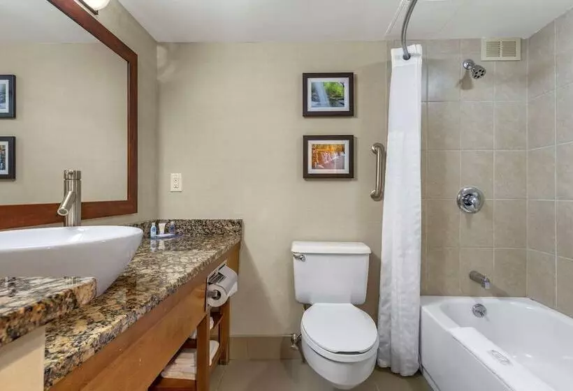 スイート, Comfort Inn & Suites Glen Mills   West Chester