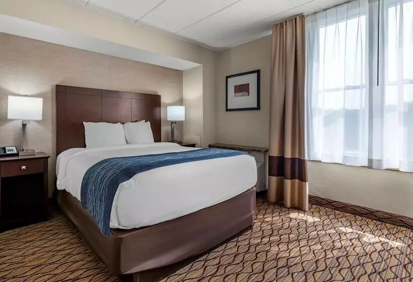 スイート, Comfort Inn & Suites Glen Mills   West Chester