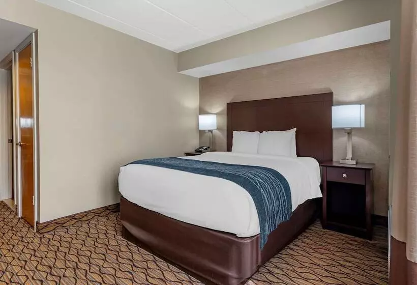 スイート, Comfort Inn & Suites Glen Mills   West Chester