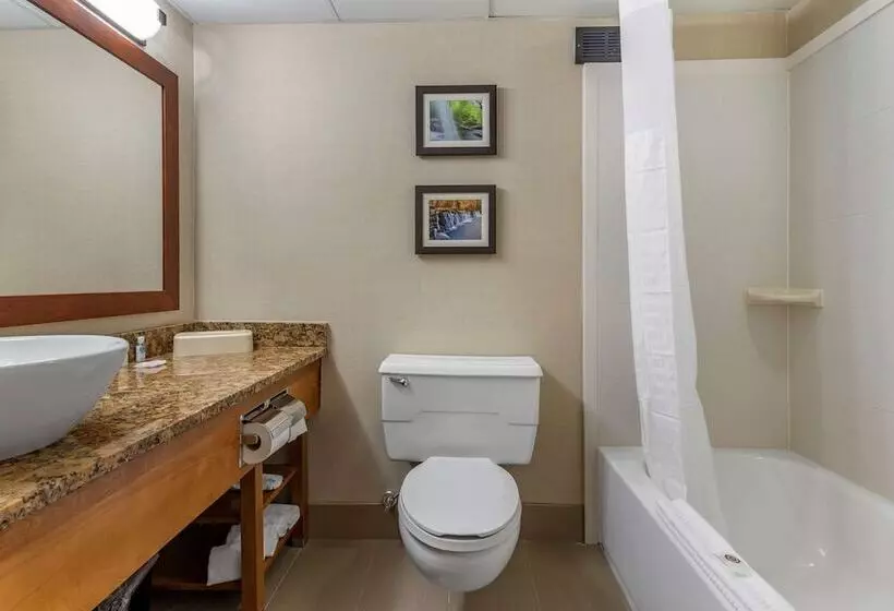 ２ダブルベッドのスタンダードルーム, Comfort Inn & Suites Glen Mills   West Chester