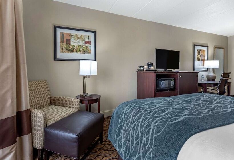 带2个双人床的标准工作室, Comfort Inn & Suites Glen Mills   West Chester