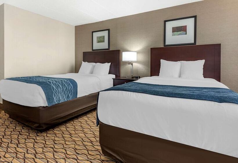 带2个双人床的标准工作室, Comfort Inn & Suites Glen Mills   West Chester
