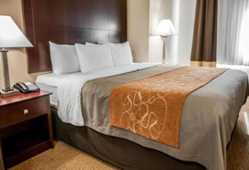 스위트 킹사이즈 침대, Comfort Suites North Albuquerque Balloon Fiesta Park