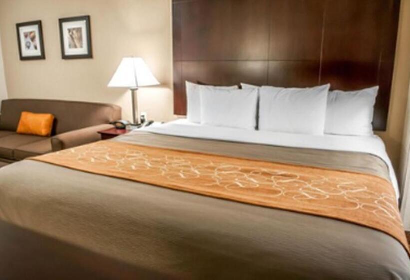 장애인을 위한 스위트, Comfort Suites North Albuquerque Balloon Fiesta Park