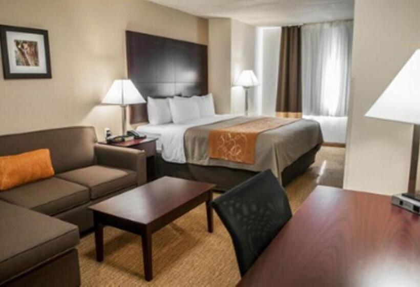 장애인을 위한 스위트, Comfort Suites North Albuquerque Balloon Fiesta Park