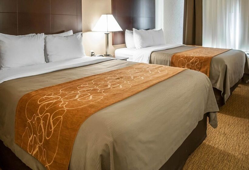 장애인을 위한 스위트, Comfort Suites North Albuquerque Balloon Fiesta Park