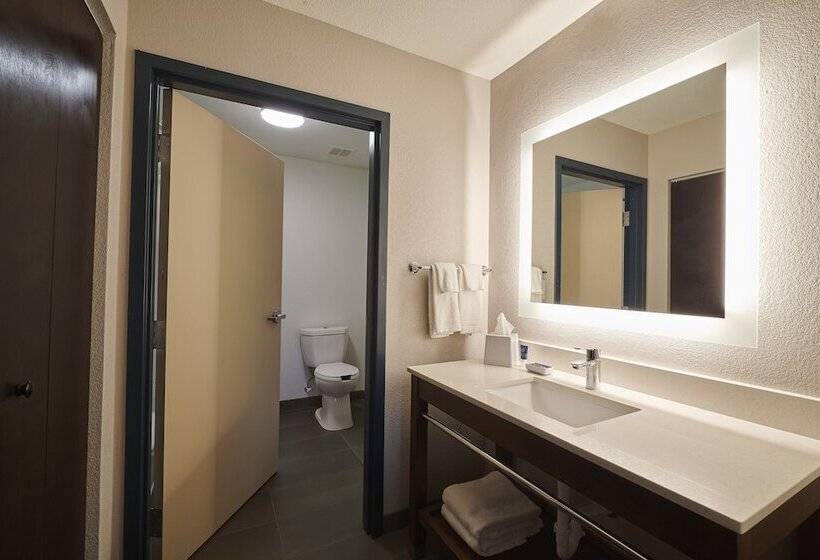 جناح غرفتين نوم, Four Points By Sheraton Clevelandeastlake