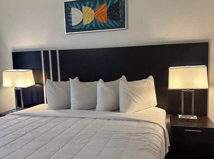 キングサイズベッドのスイートルーム, Oasis Bay Suites, Tampa, Busch Gardens, Usf
