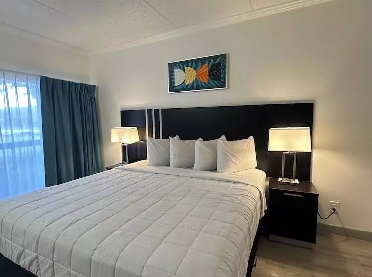 キングサイズベッドのスイートルーム, Oasis Bay Suites, Tampa, Busch Gardens, Usf