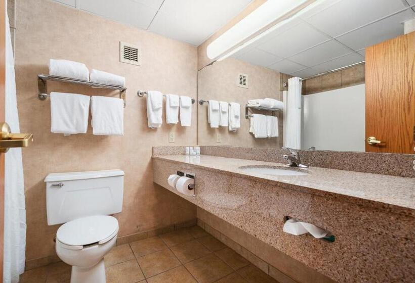 Стандартный Номер Кровать Кинг, Ramada By Wyndham Sioux Falls Airport   Waterpark Resort & Event Center