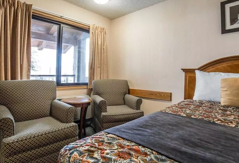 スタンダードルーム, Rodeway Inn