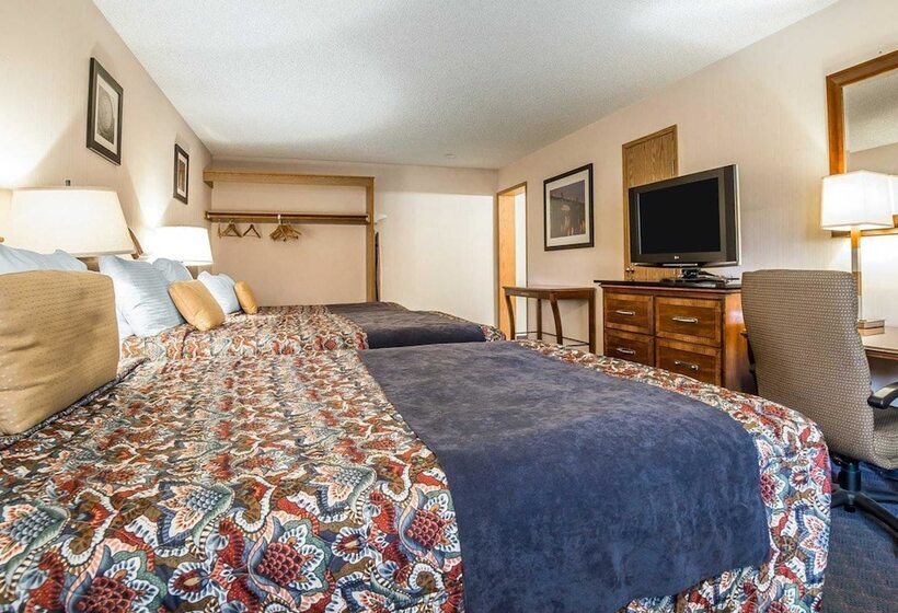 Номер Стандарт, Rodeway Inn