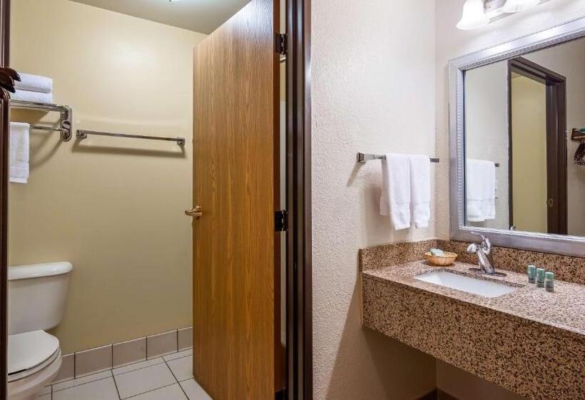 غرفة قياسية سرير كينج, Best Western B. R. Guest