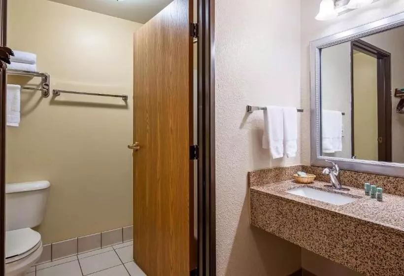 キングサイズベッドのスタンダードルーム, Best Western B. R. Guest