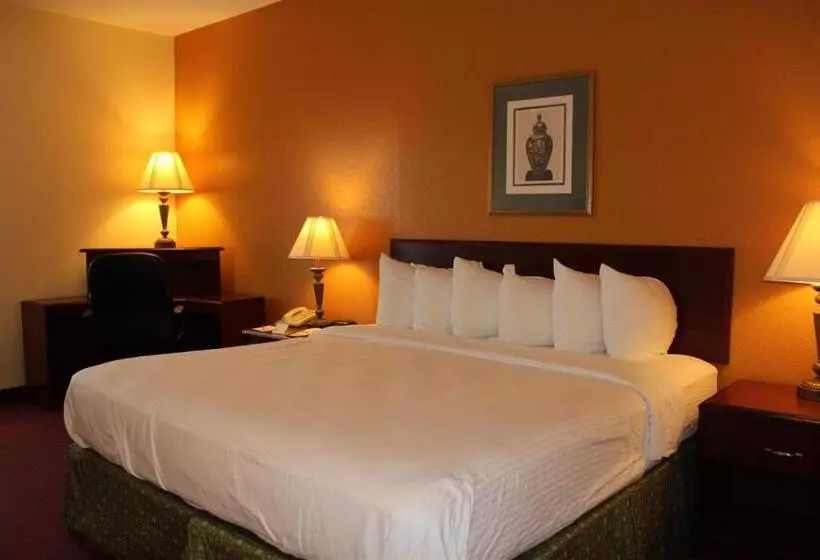 キングサイズベッドのスタンダードルーム, Best Western B. R. Guest