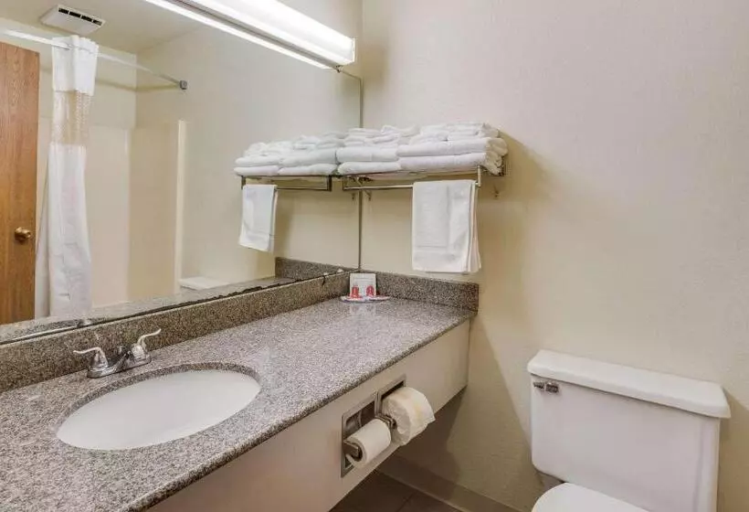キングサイズベッドのスタンダードルーム, Econo Lodge Whitehall Near Michigan S Adventure