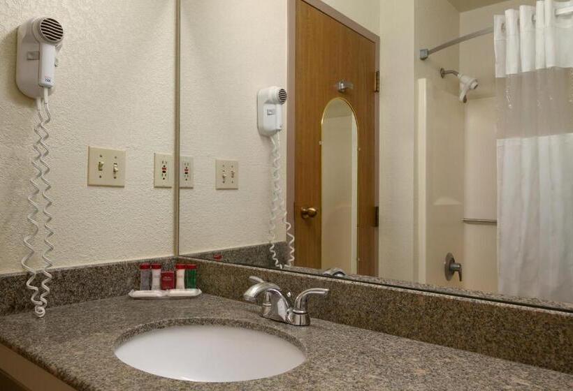 스탠다드 룸 킹사이즈 침대, Econo Lodge Whitehall Near Michigan S Adventure