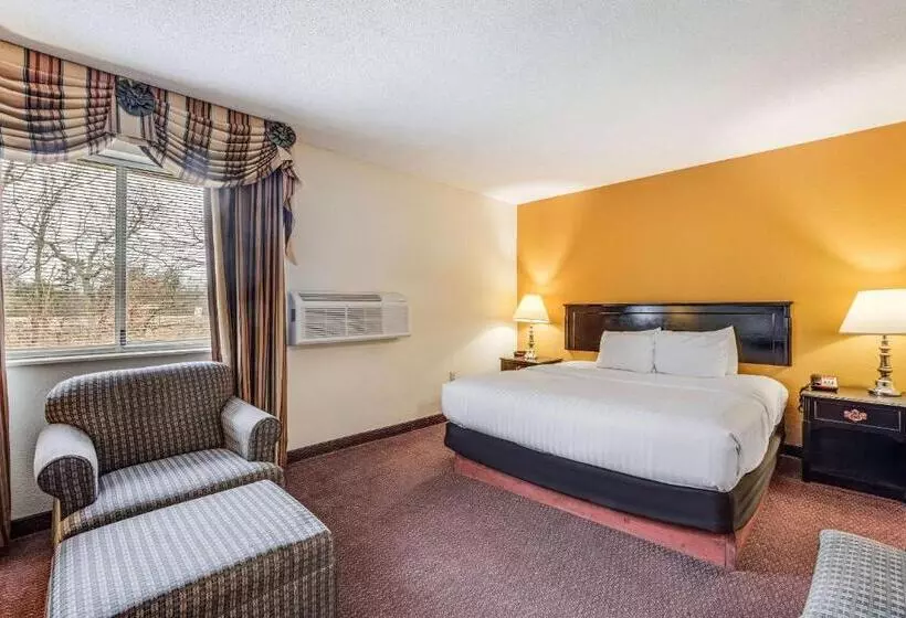 身障者適用キングサイズベッドルーム, Econo Lodge Whitehall Near Michigan S Adventure