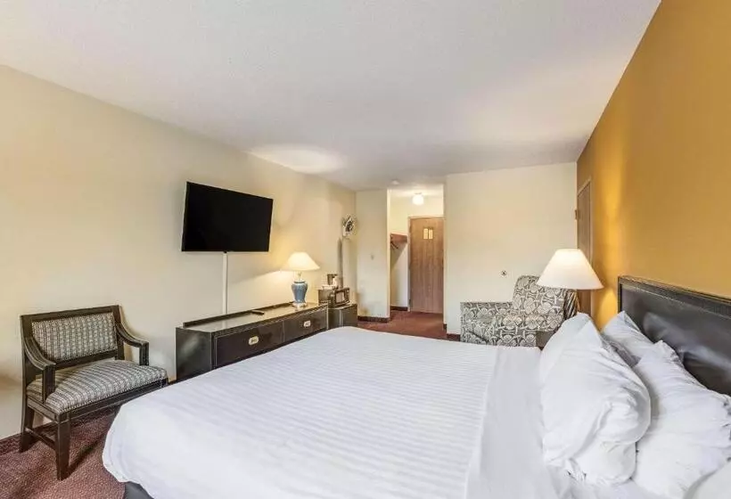 身障者適用キングサイズベッドルーム, Econo Lodge Whitehall Near Michigan S Adventure