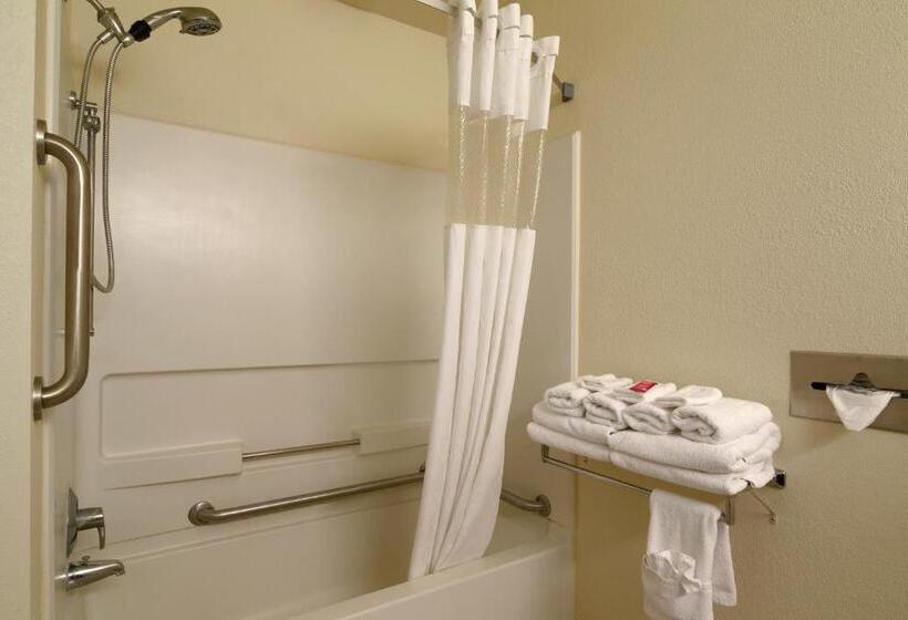 Номер Стандарт Кровать Кинг Адаптированный для Инвалидов, Econo Lodge Whitehall Near Michigan S Adventure