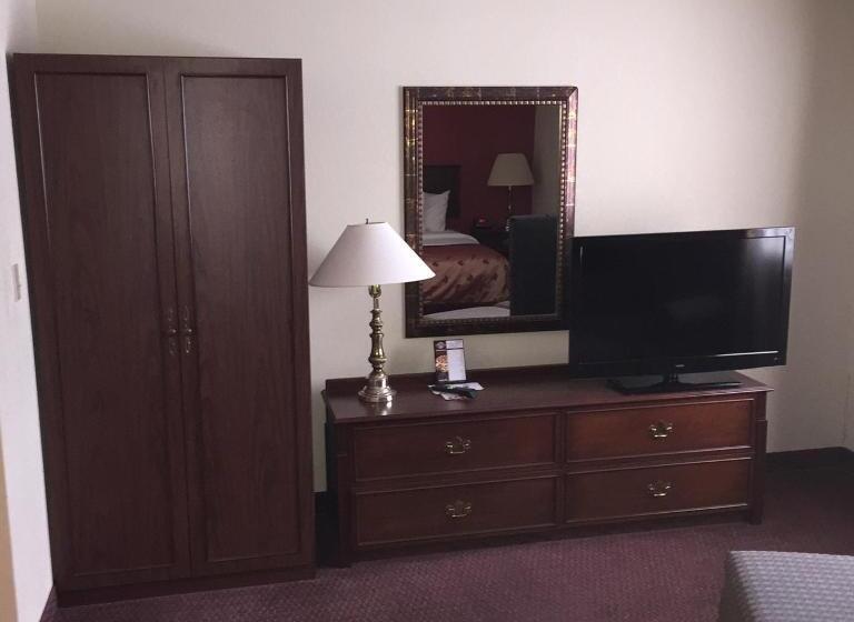 디럭스 스위트 킹 침대, Econo Lodge Whitehall Near Michigan S Adventure